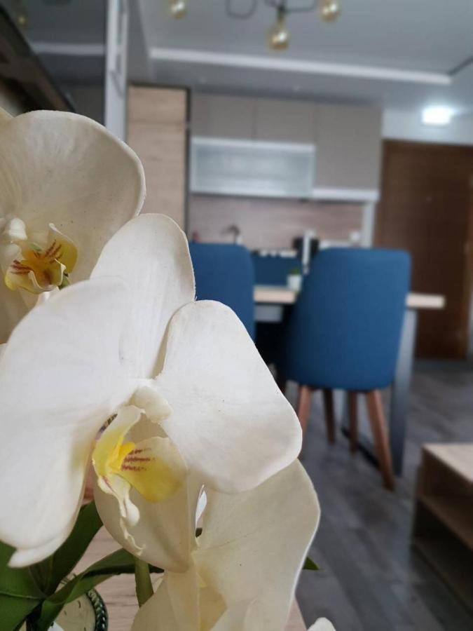Apartman Premier 32 Milmari 카파오닉 외부 사진
